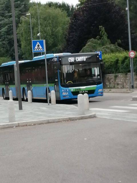 linea c50 bus per cantù albate