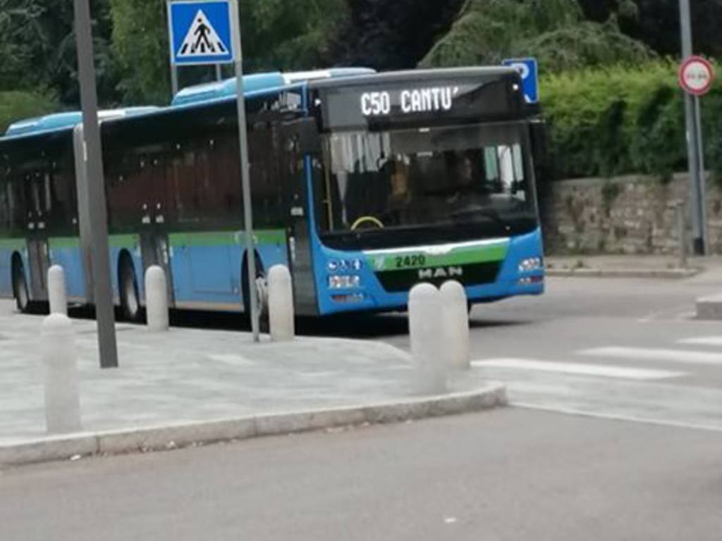 linea c50 bus per cantù albate