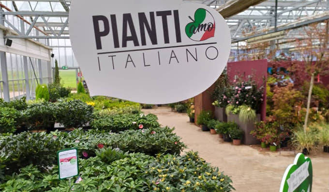 piantiamoitaliano: alla scoperta delle piante verdi italiane da interno