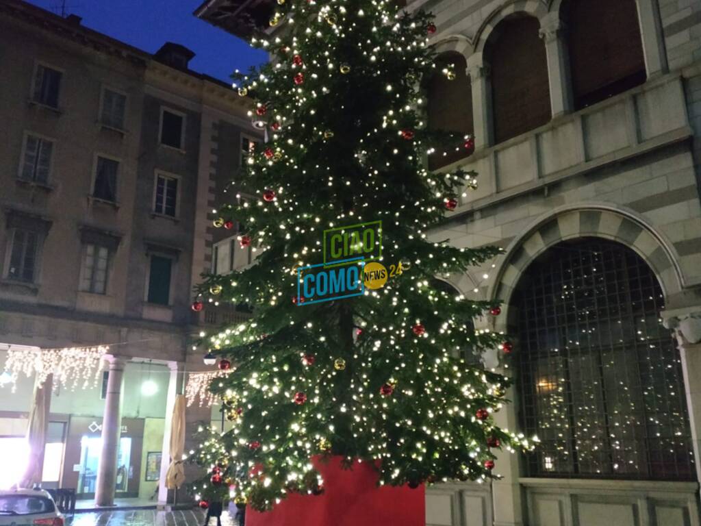 albero di natalke 2020 piazza grimoldi a como accensione