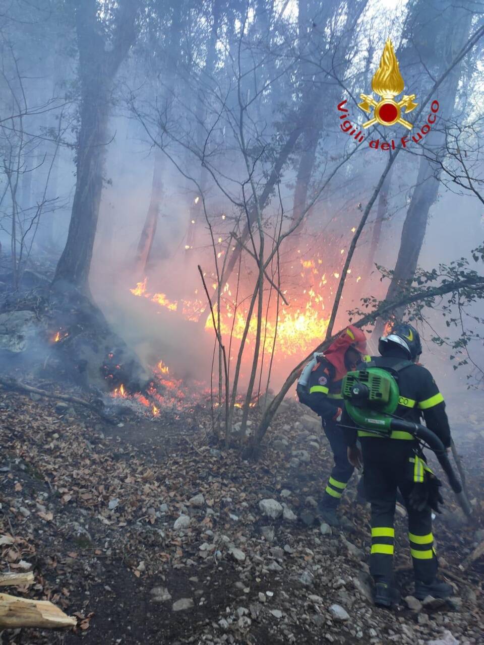 incendio boschivo pompieri e volontari a fermare le fiamme monte conizzolo canzo