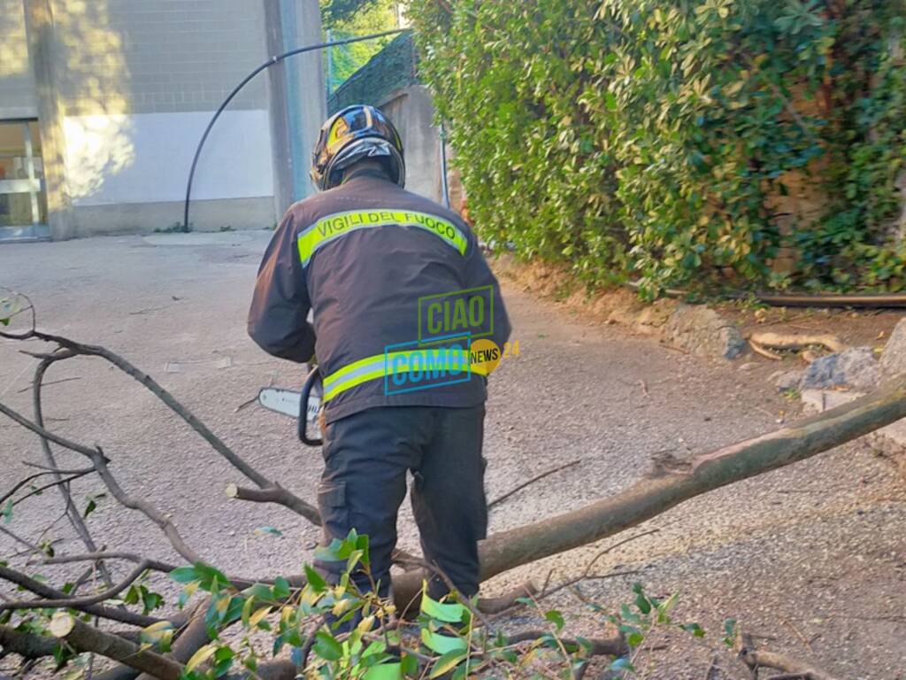 Il forte vento oggi a Como: danni ed interventi dei Vigili del Fuoco