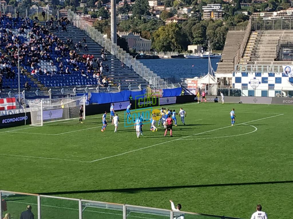 como benevento stadio sinigaglia tifosi e esultanza squadra