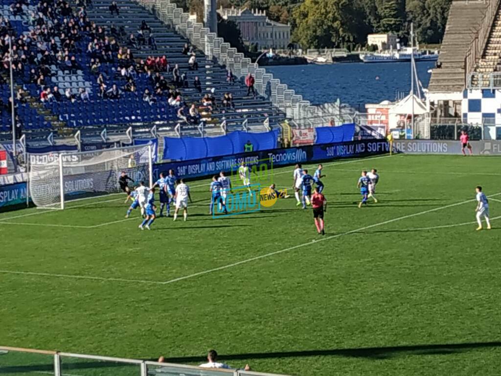 como benevento stadio sinigaglia tifosi e esultanza squadra