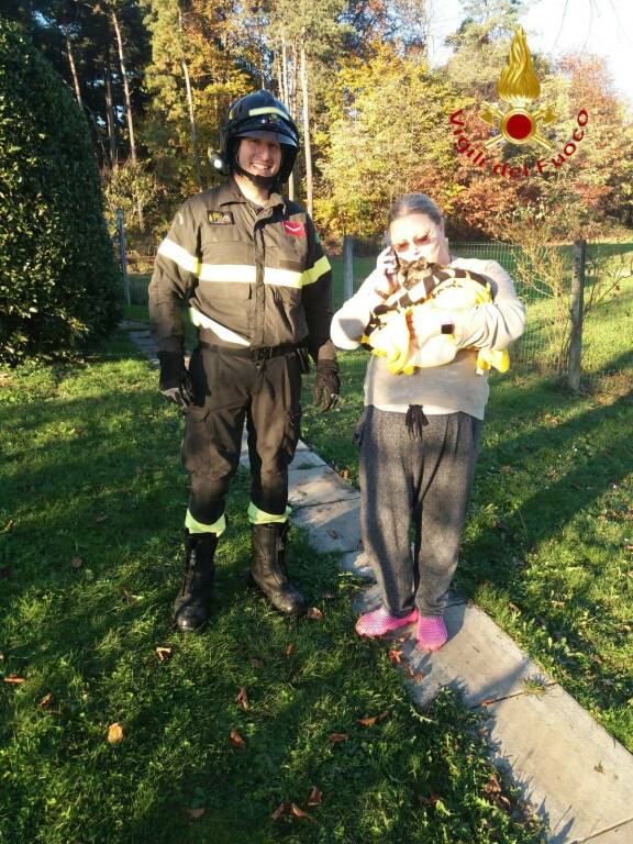 incendio tetto via monte pennino a cantù con intervento vigili del fuioco e recupero gatto