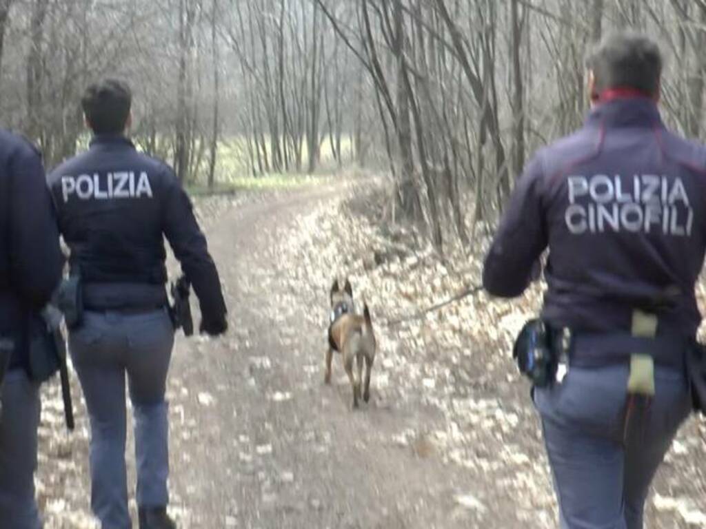 questura di como operazione controllo boschi parco pineta appiano gentile