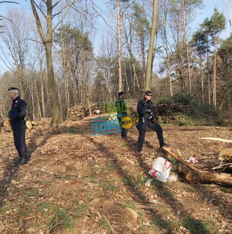 intervento carabinieri appiano e mozzate boschi e aree dismesse mozzate controlli verifiche