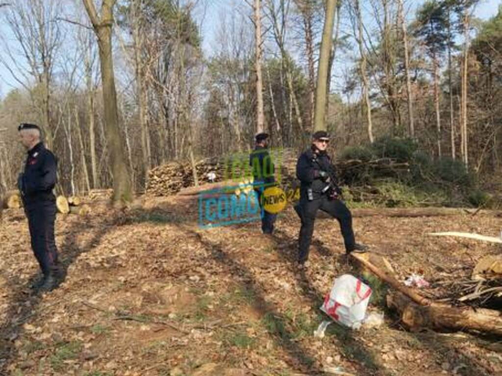 intervento carabinieri appiano e mozzate boschi e aree dismesse mozzate controlli verifiche