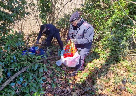 intervento carabinieri appiano e mozzate boschi e aree dismesse mozzate controlli verifiche