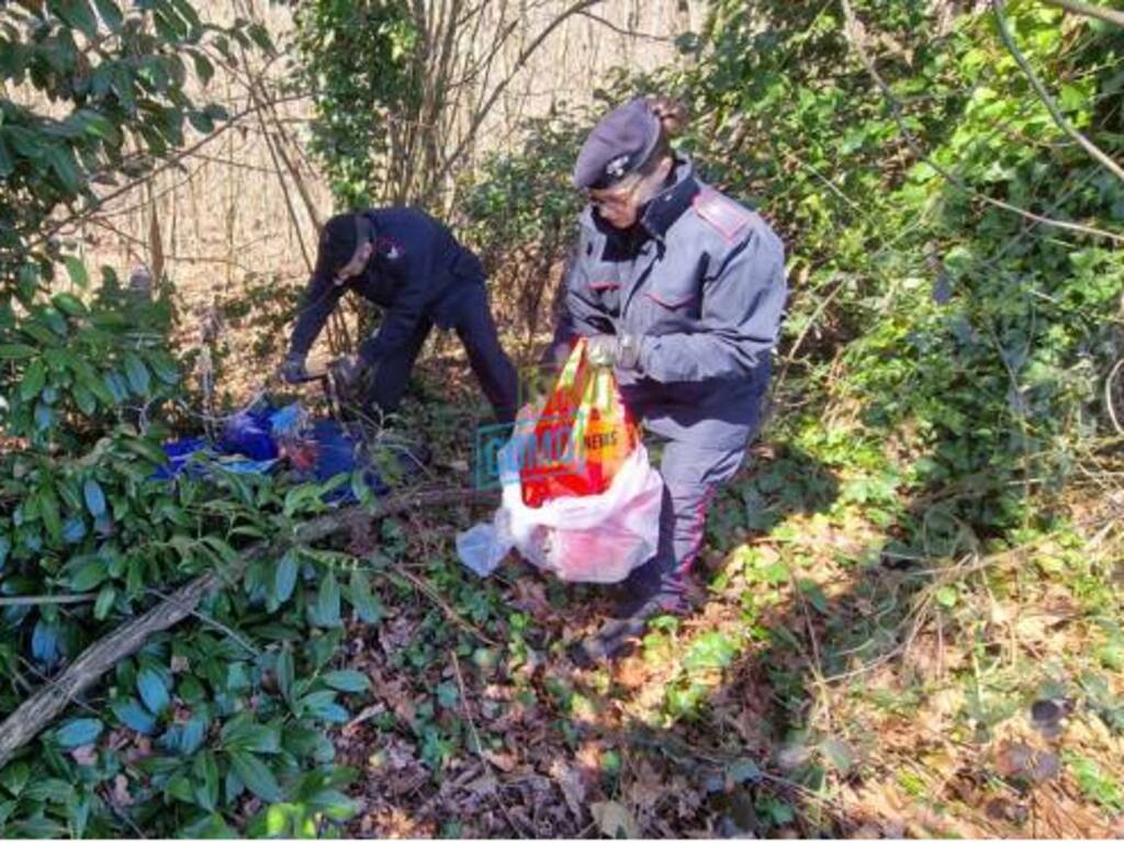 intervento carabinieri appiano e mozzate boschi e aree dismesse mozzate controlli verifiche