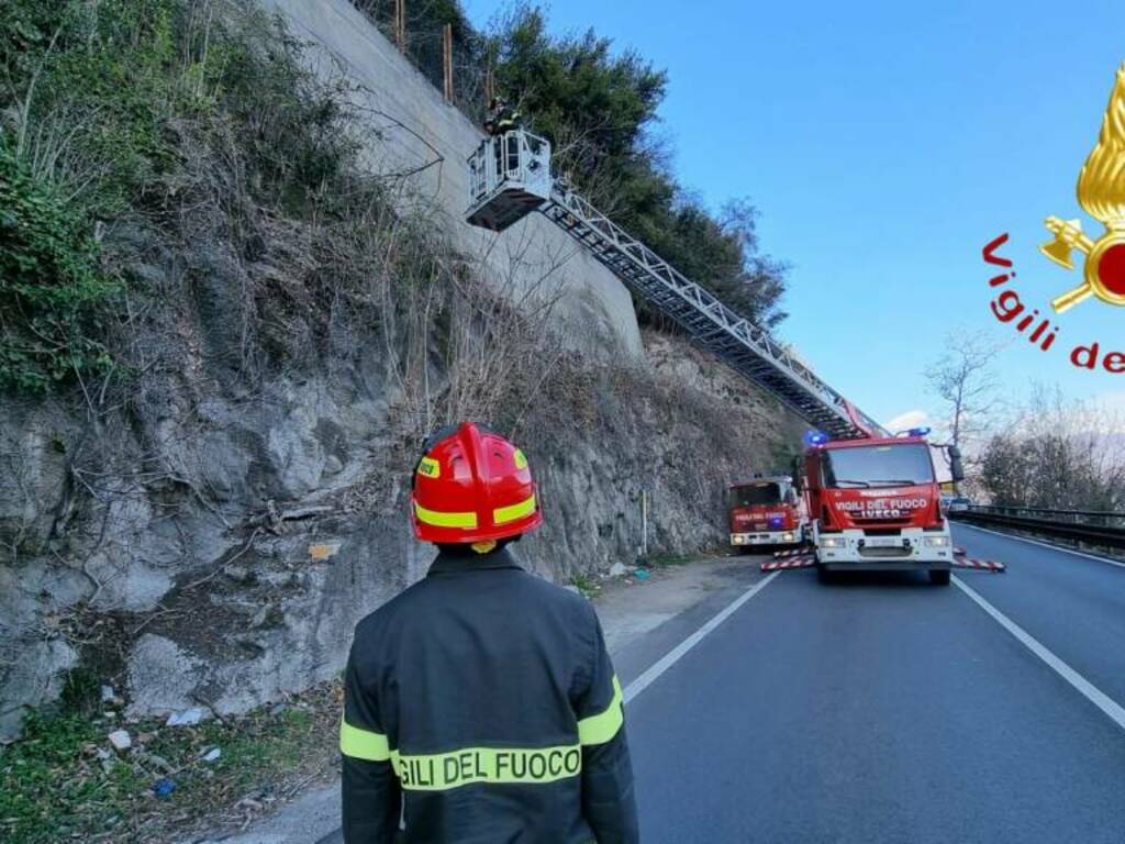 regina chiusa vigili del fuoco albero pericolante a colonno