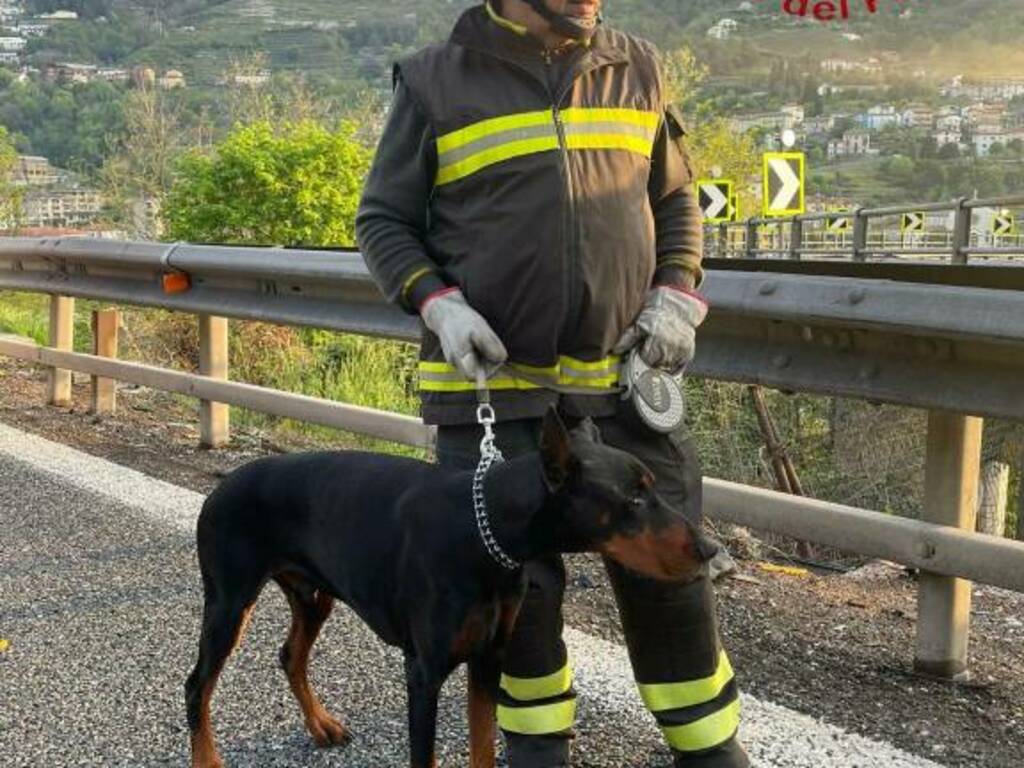 incidente camper autostrada A9 camper fuori strada contro guard-rail