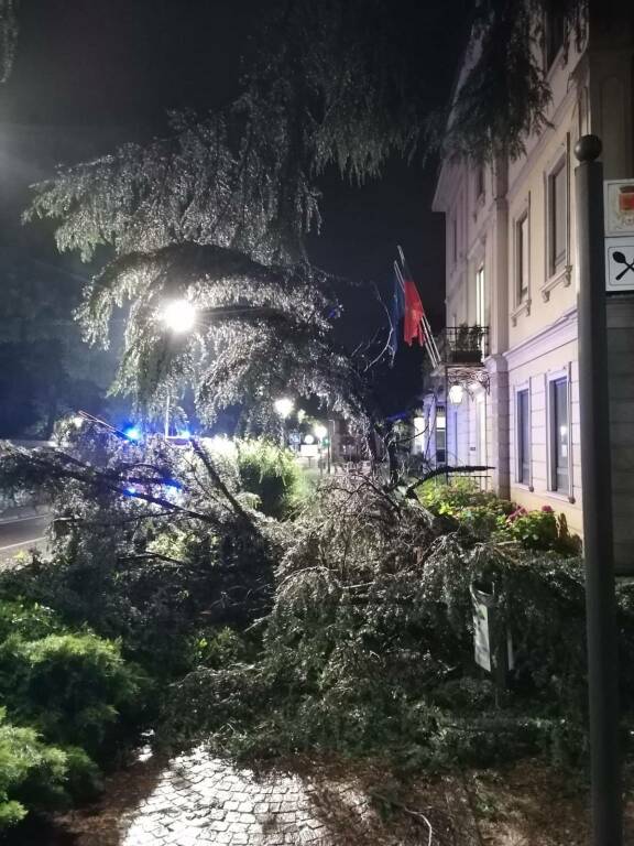 cernobbio caduta rami albero davanti comune in strada