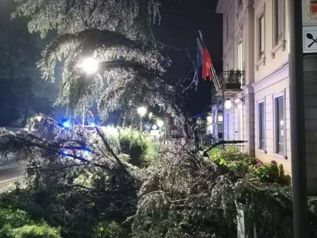 cernobbio caduta rami albero davanti comune in strada