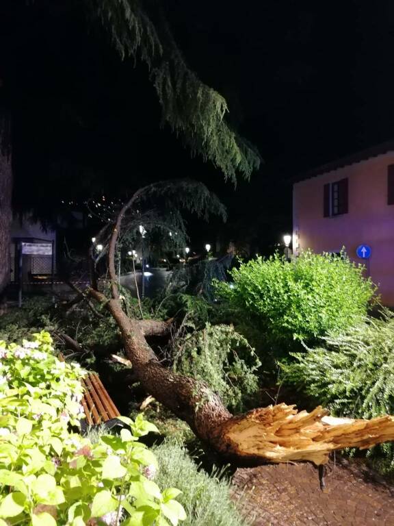 cernobbio caduta rami albero davanti comune in strada