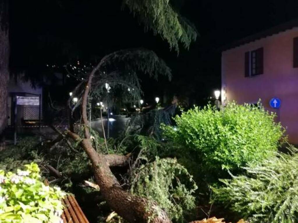 cernobbio caduta rami albero davanti comune in strada