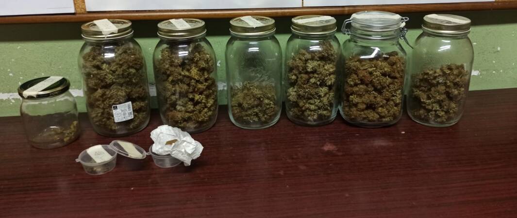 carabinieri arresto cantù per serra produzione marijuana varattoli droga e piante