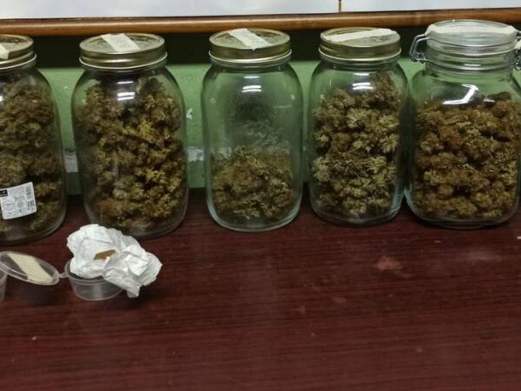 carabinieri arresto cantù per serra produzione marijuana varattoli droga e piante