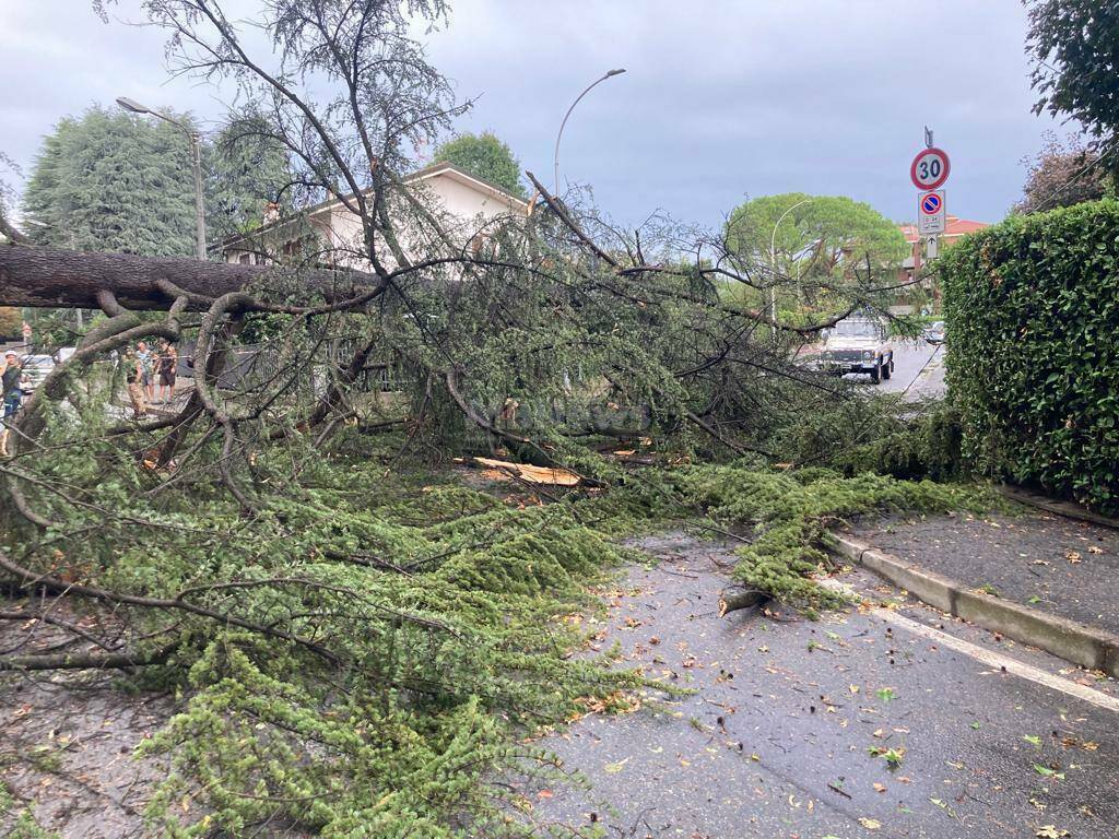 maltempo comasco e brianza tetto scoperchiato mariano comense vigili del fuoco albero caduto arcore