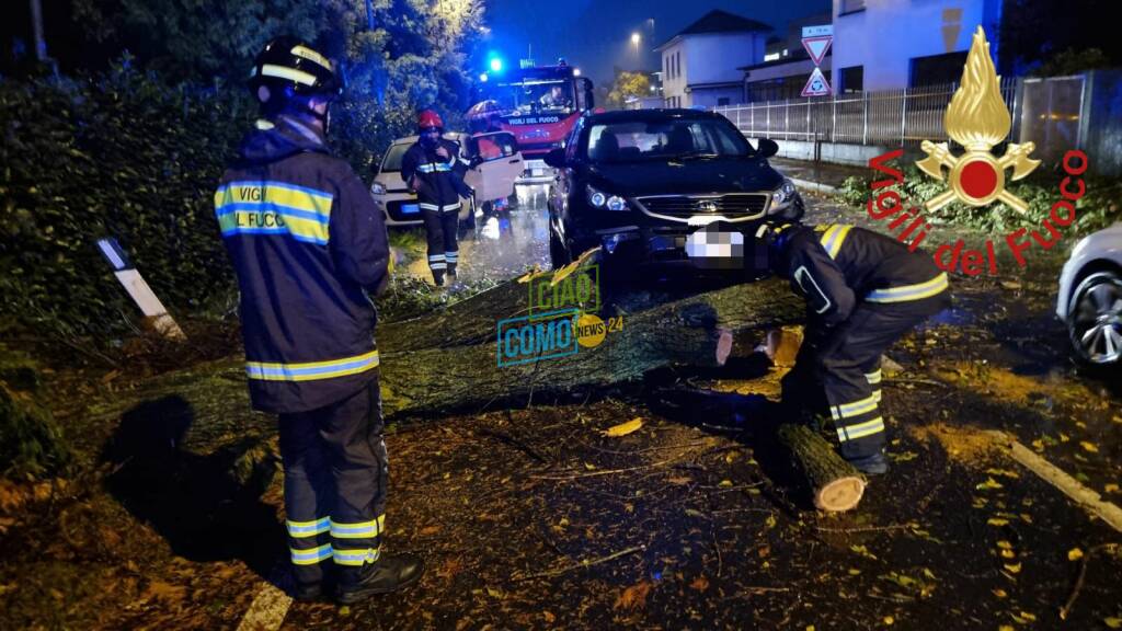 alberi caduti per il vento fortissimo di questa mattina a cassina, lomazzo e figino serenza