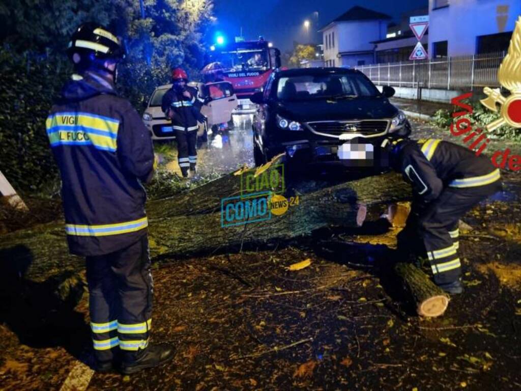 alberi caduti per il vento fortissimo di questa mattina a cassina, lomazzo e figino serenza