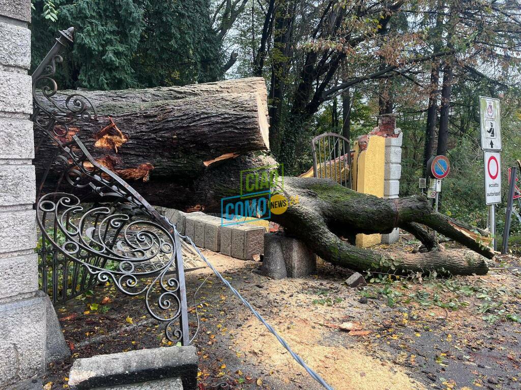 alberi caduti per il vento fortissimo di questa mattina a cassina, lomazzo e figino serenza