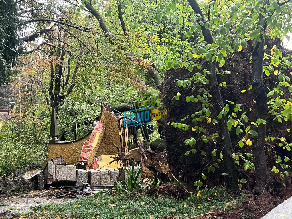 alberi caduti per il vento fortissimo di questa mattina a cassina, lomazzo e figino serenza