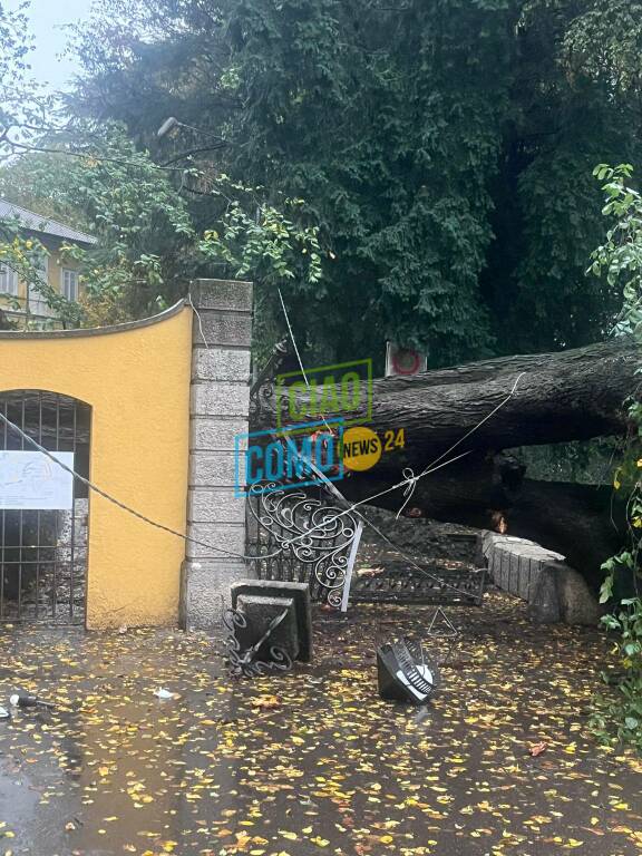 alberi caduti per il vento fortissimo di questa mattina a cassina, lomazzo e figino serenza