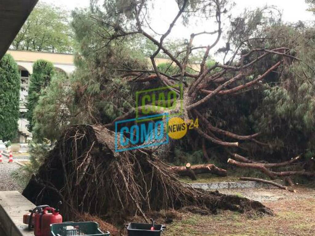 alberi caduti per il vento fortissimo di questa mattina a cassina, lomazzo e figino serenza