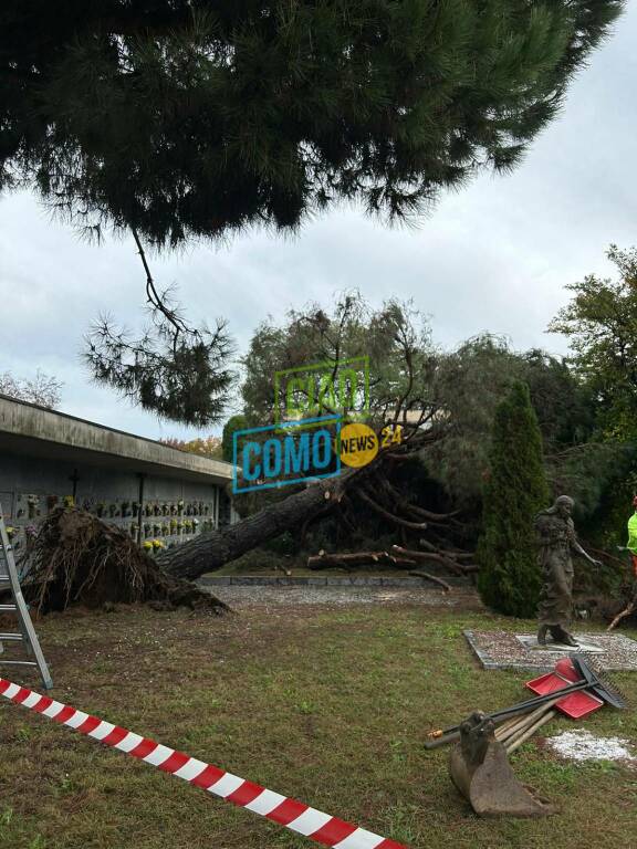 alberi caduti per il vento fortissimo di questa mattina a cassina, lomazzo e figino serenza