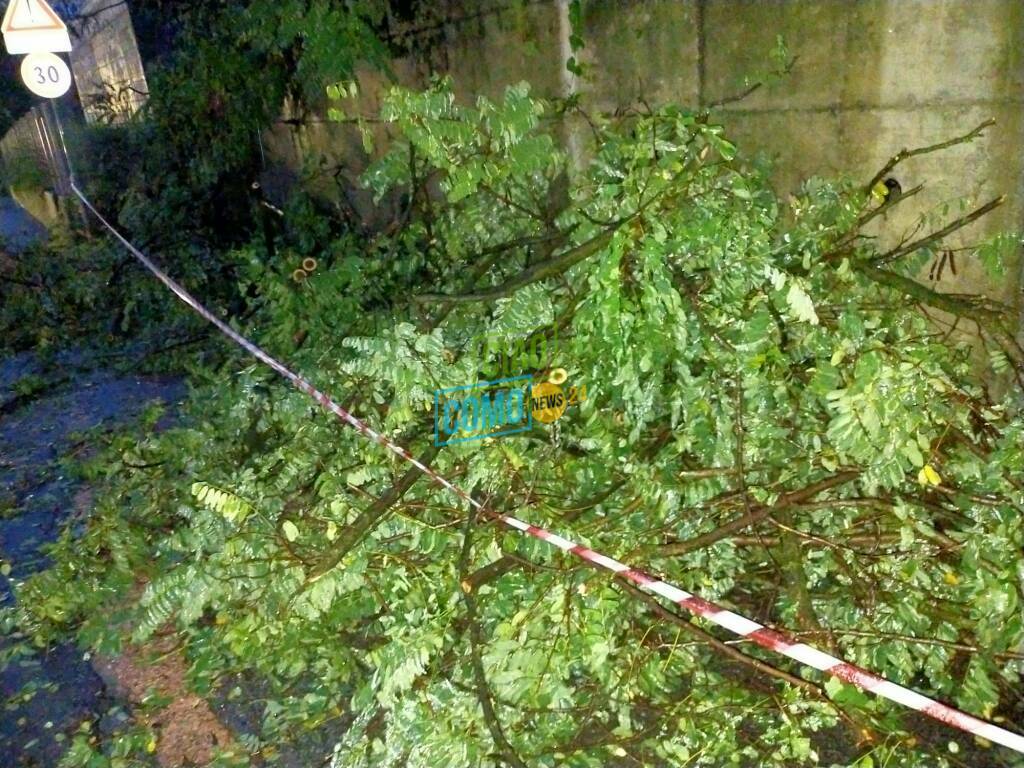 caduto albero via scalabrini como per maltempo notte