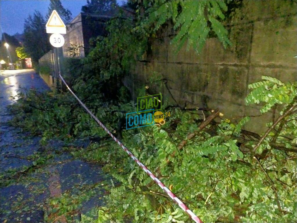 caduto albero via scalabrini como per maltempo notte