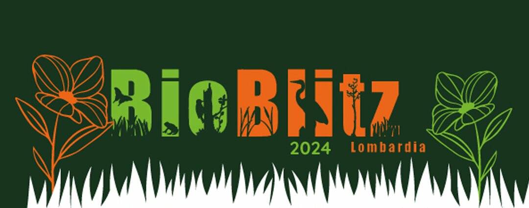 bioblitz edizione 2024 parco pineta