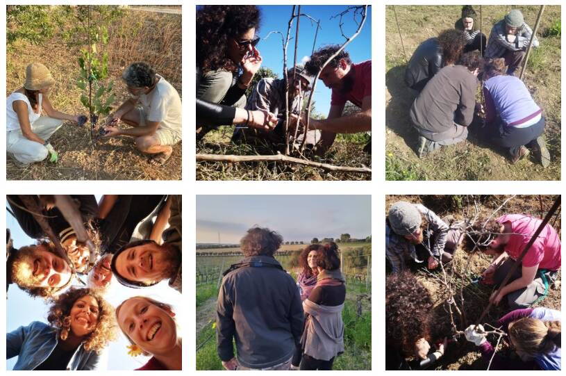 evento raccolta fondi per la vigna di Mattia