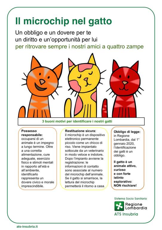 Giornata internazionale del gatto, quasi 78mila i gatti microchippati